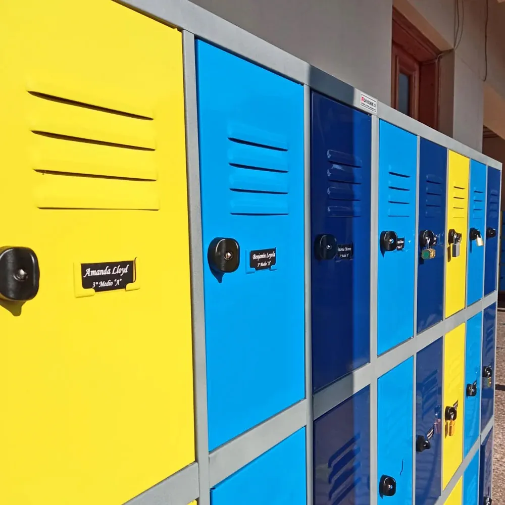 Personalizados — Lockers y Estanterías Comercial Provendi (foto 11)